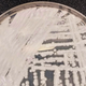 A strain of Candida auris being cultured in a petri dish at a CDC laboratory.